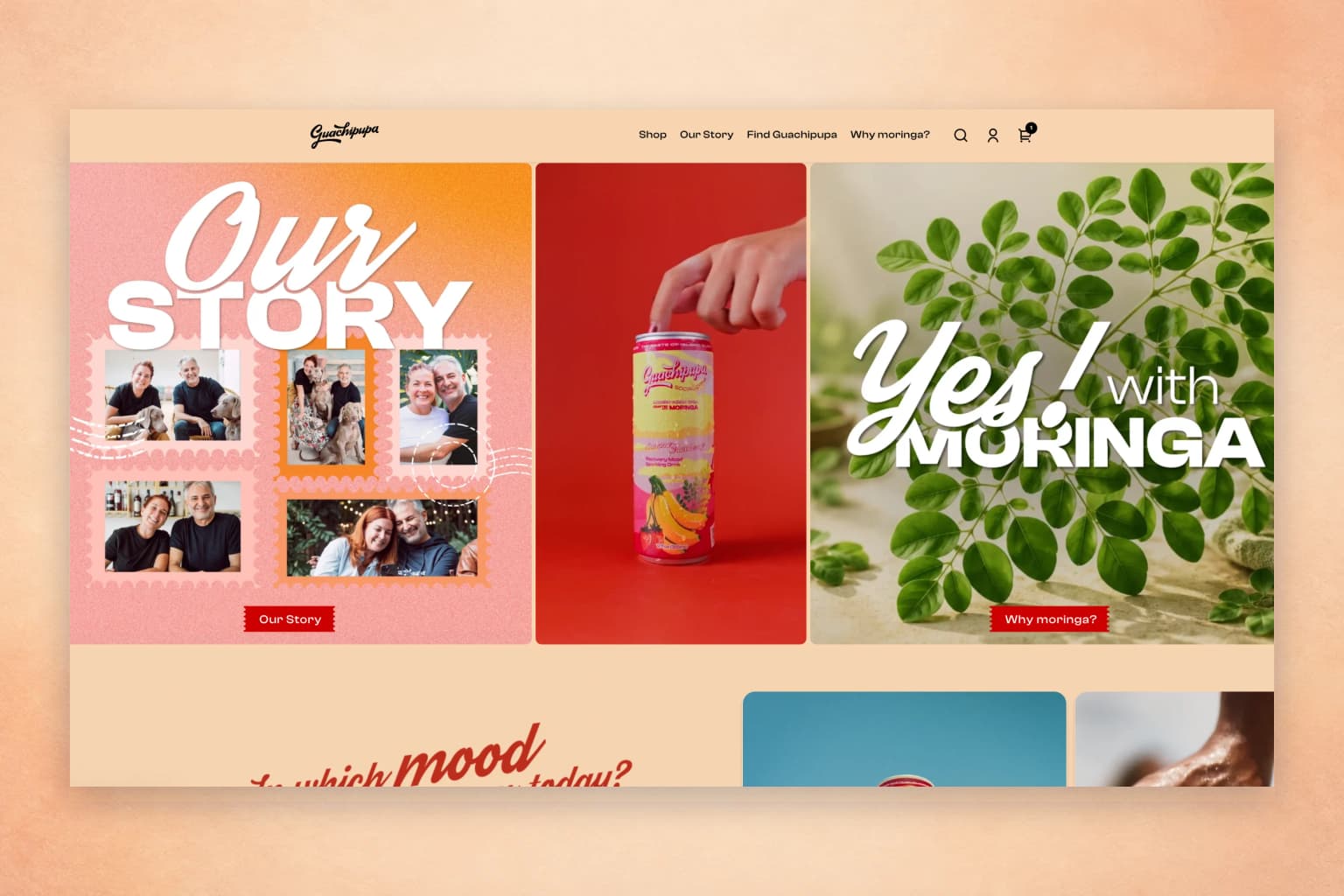 Vista del sitio web de Shopify Guachipupa