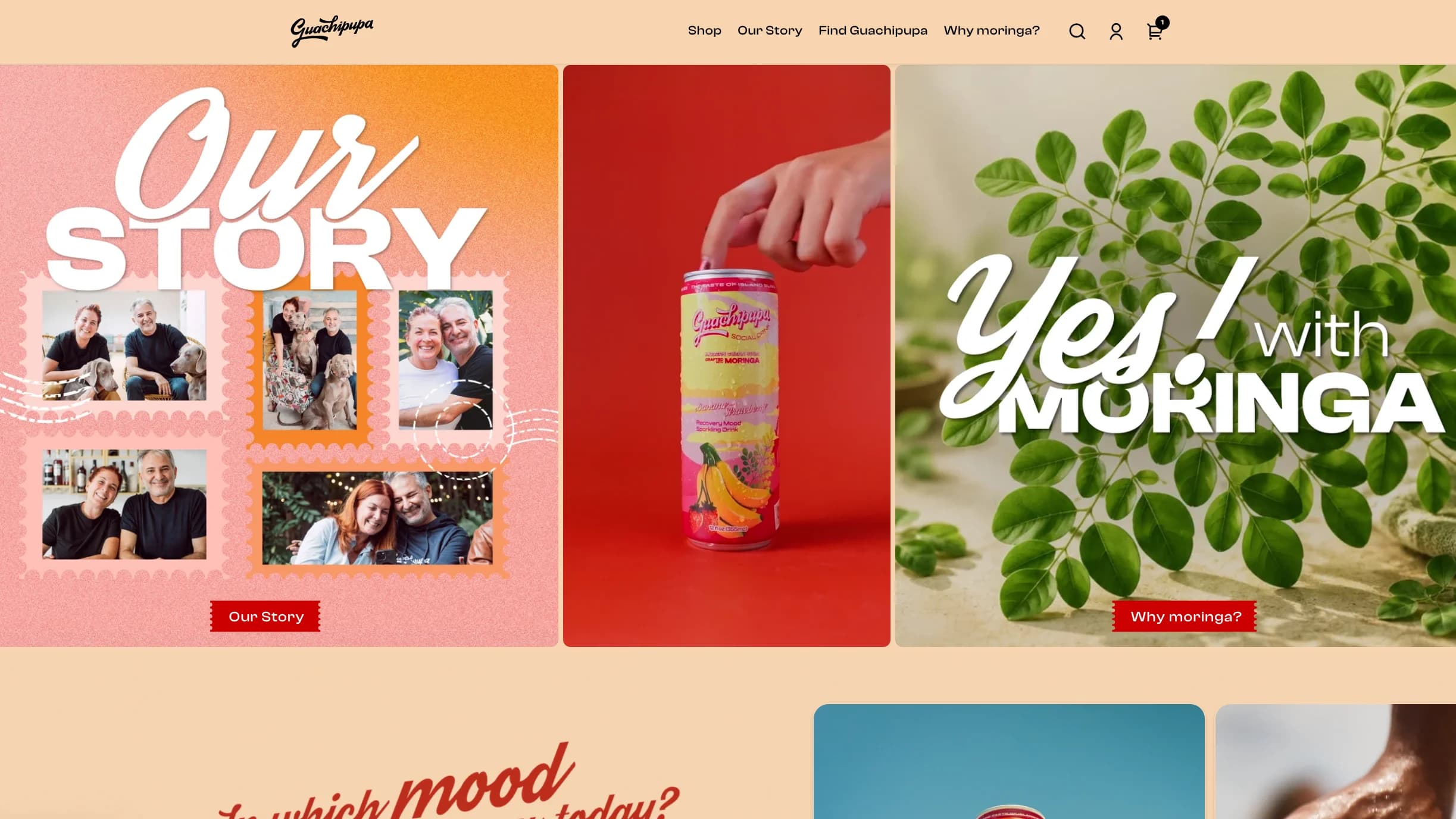 Vista del sitio web de Shopify Guachipupa